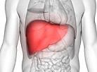 Image_Foie