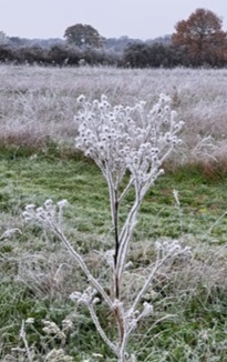 Photo de l'hiver