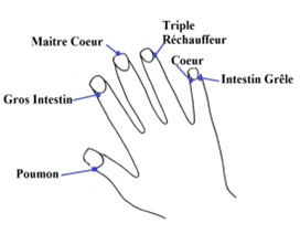 Points des Mridiens sur la Main